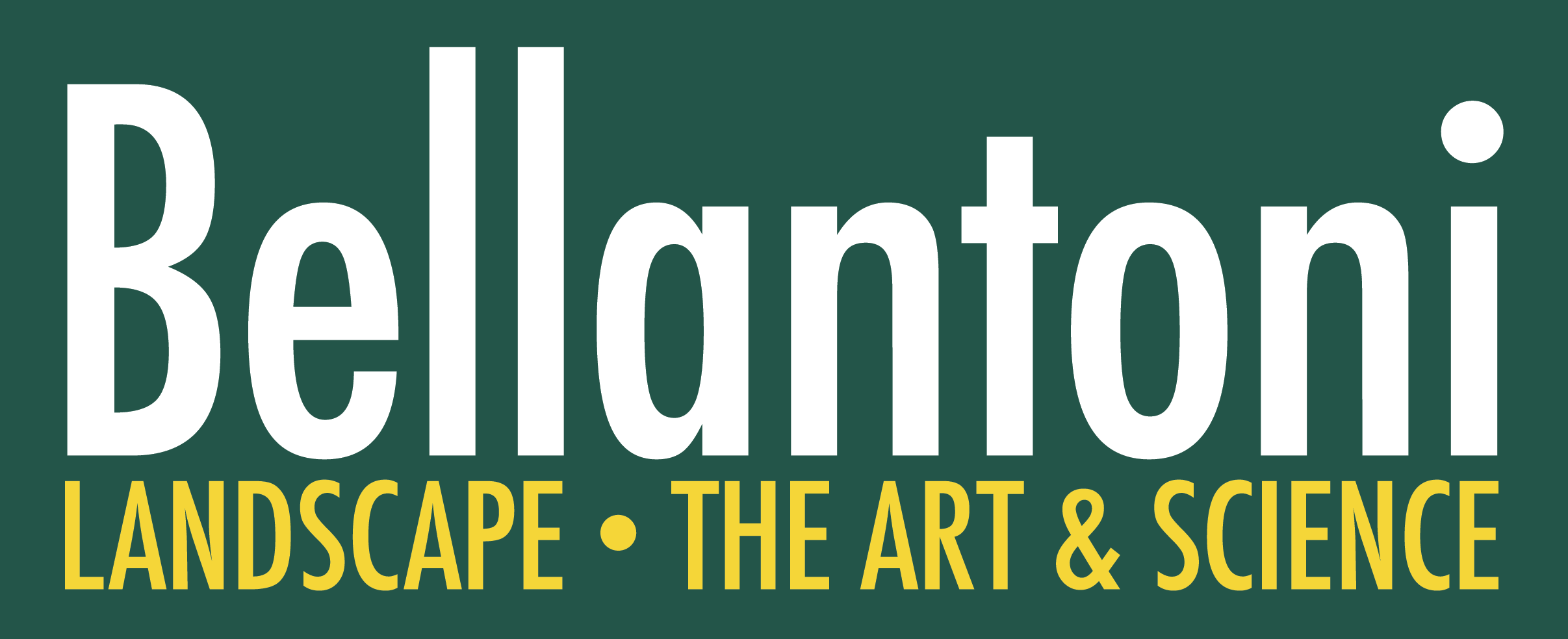 Logo for Michael Bellantoni Inc